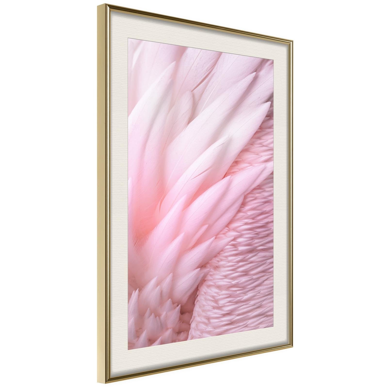 Läs mer om Inramad Poster / Tavla - Pink Feathers - 40x60 Guldram med passepartout