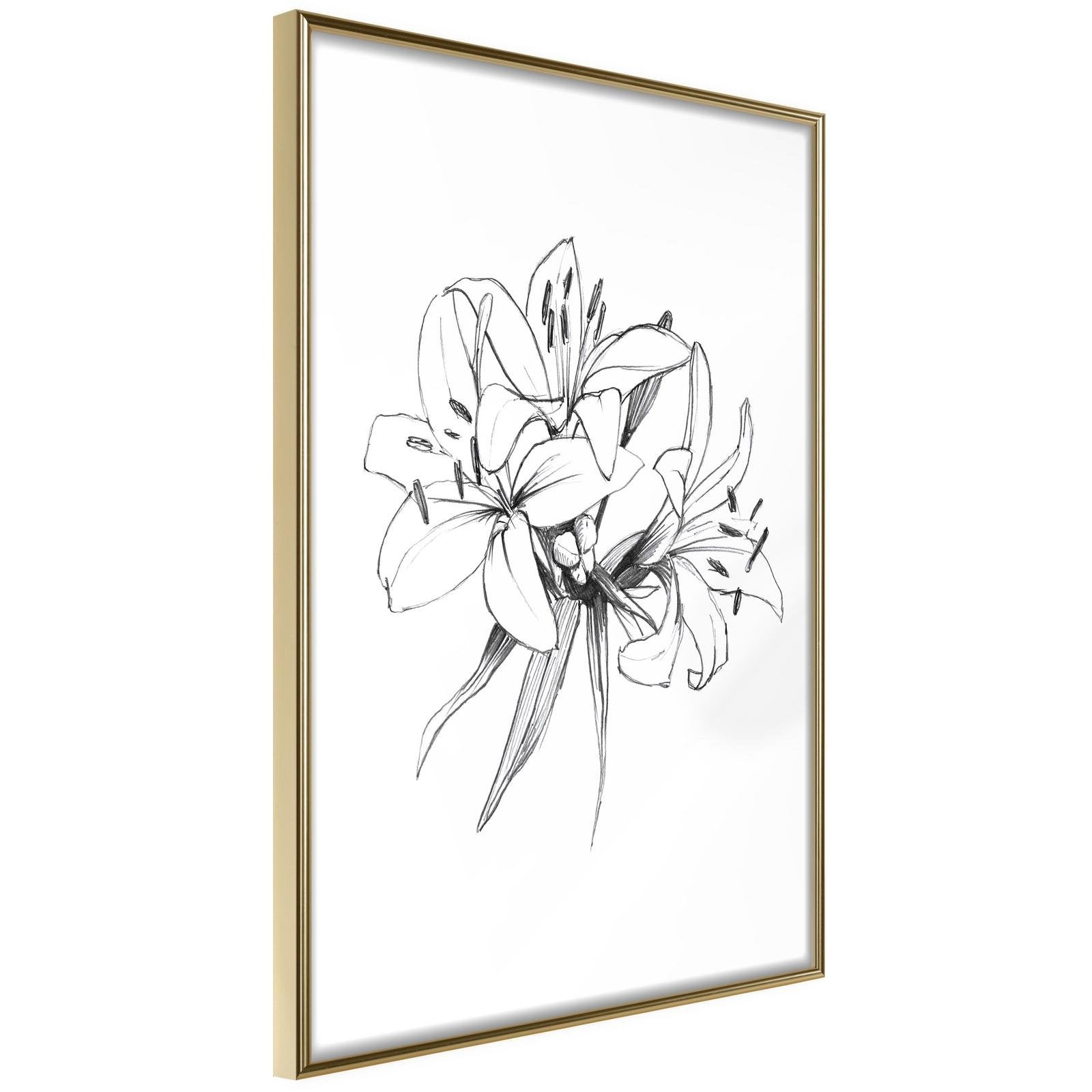Läs mer om Inramad Poster / Tavla - Sketch of Lillies - 40x60 Guldram
