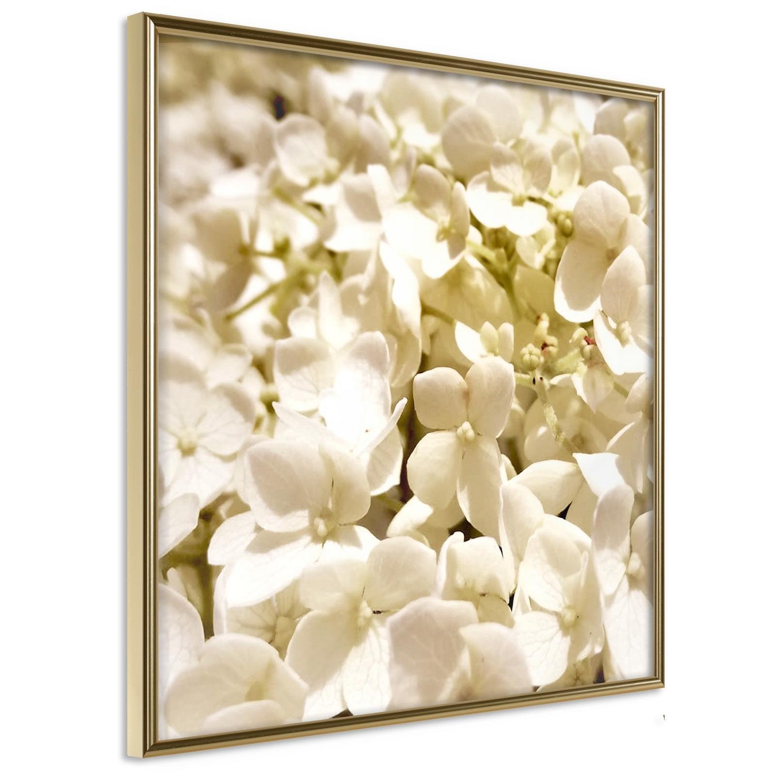 Läs mer om Inramad Poster / Tavla - Soothing Flowers - 30x30 Guldram