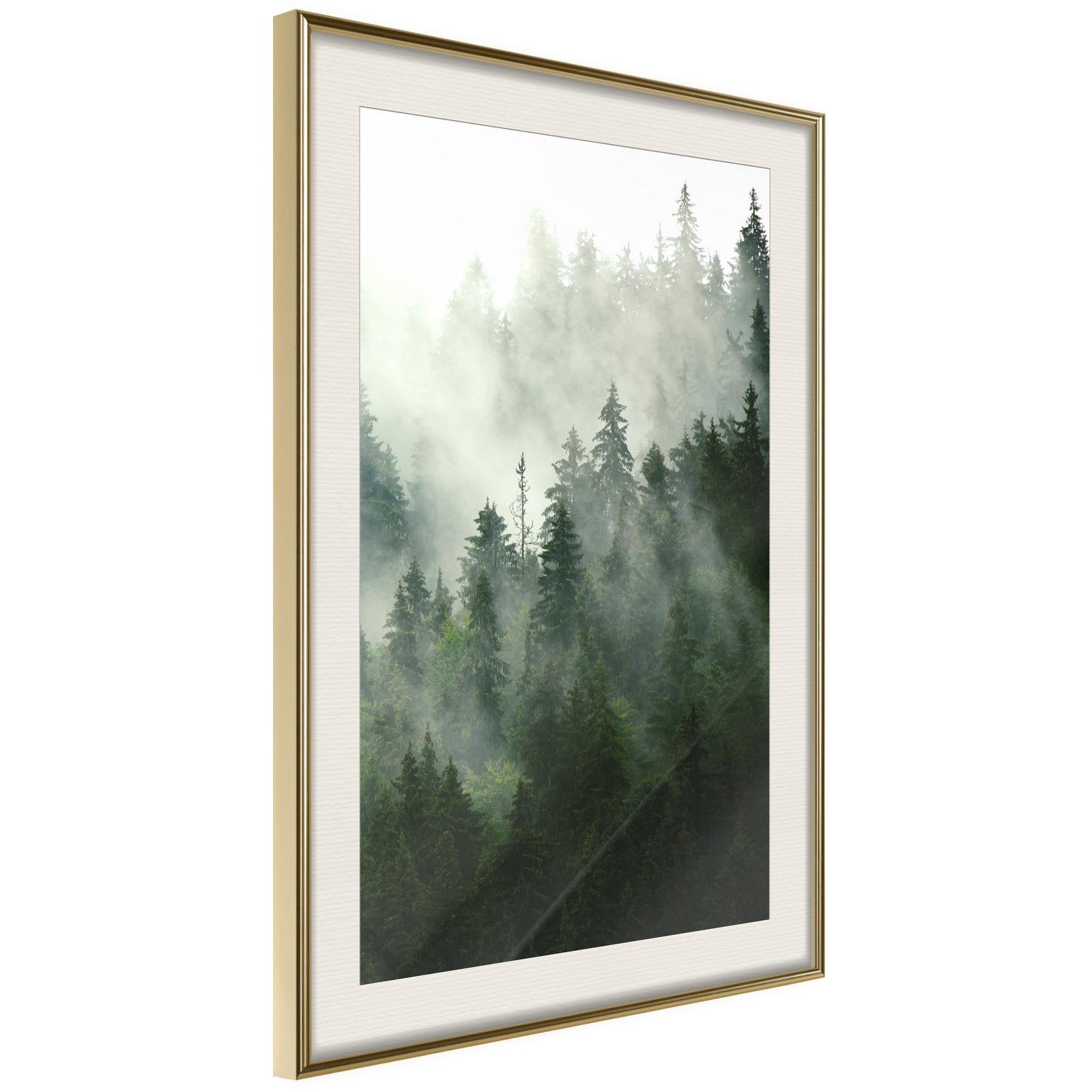 Läs mer om Inramad Poster / Tavla - Steaming Forest - 40x60 Guldram med passepartout