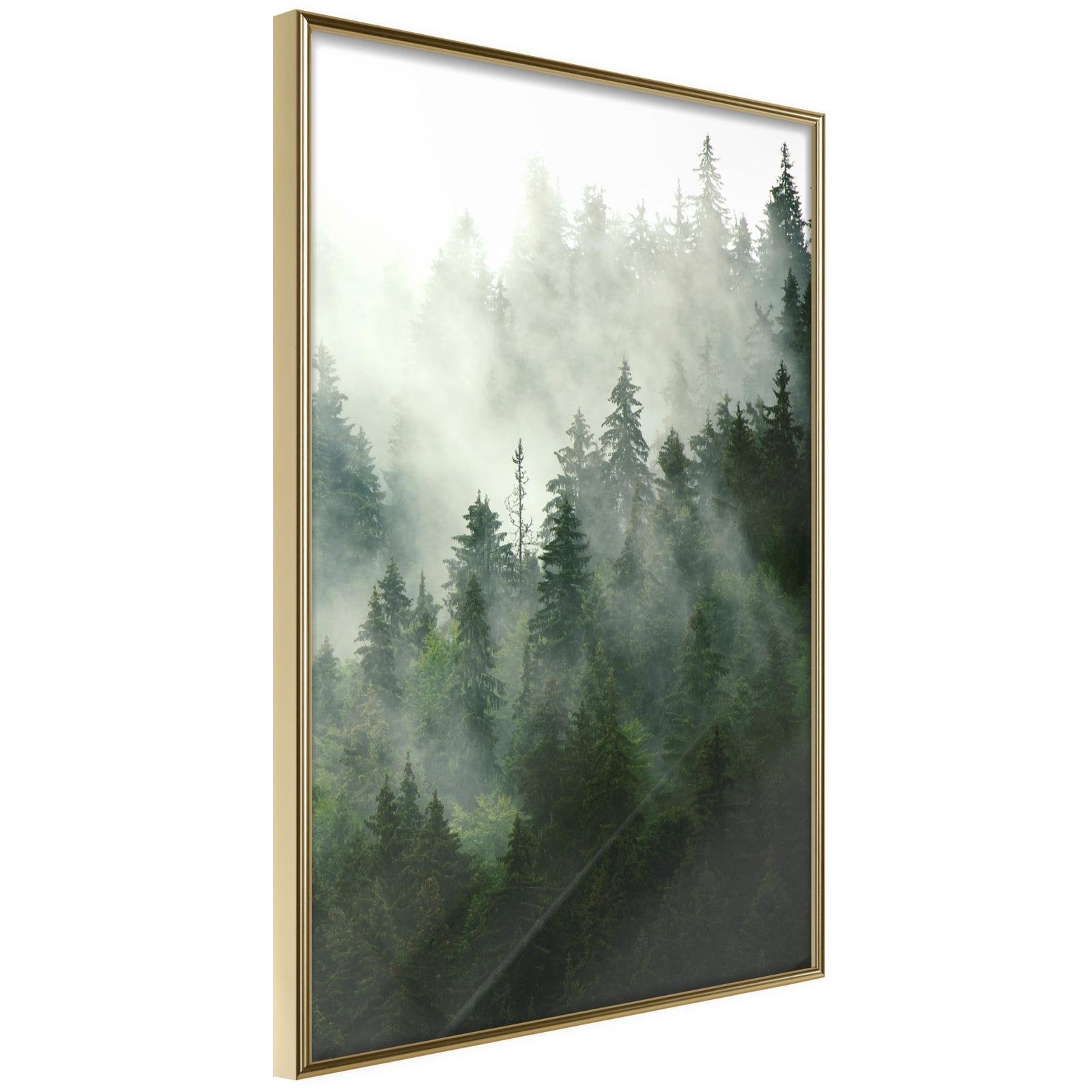 Inramad Poster / Tavla - Steaming Forest - 30x45 Guldram