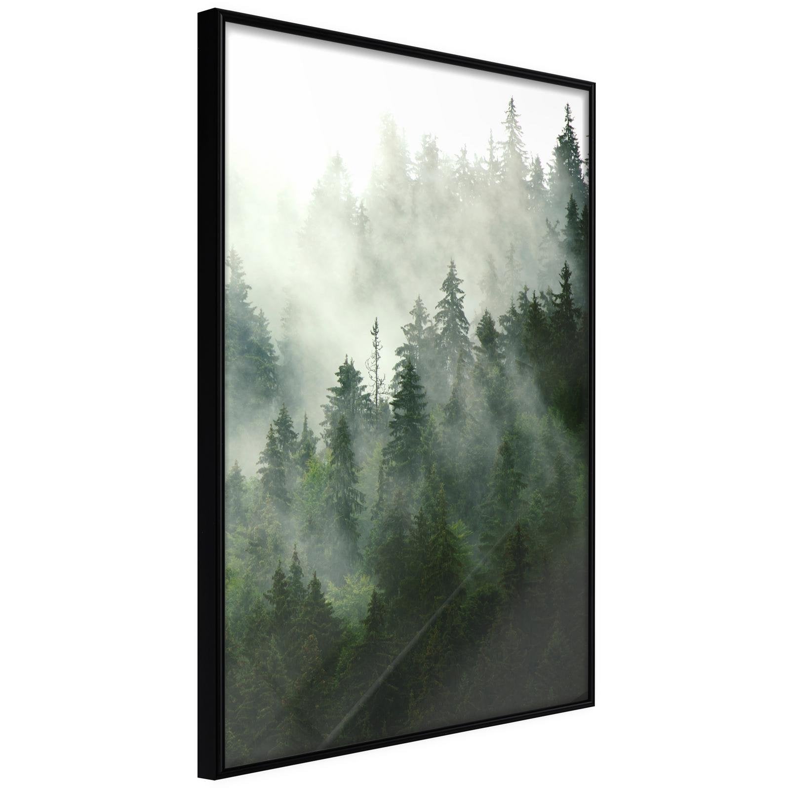 Läs mer om Inramad Poster / Tavla - Steaming Forest - 40x60 Svart ram