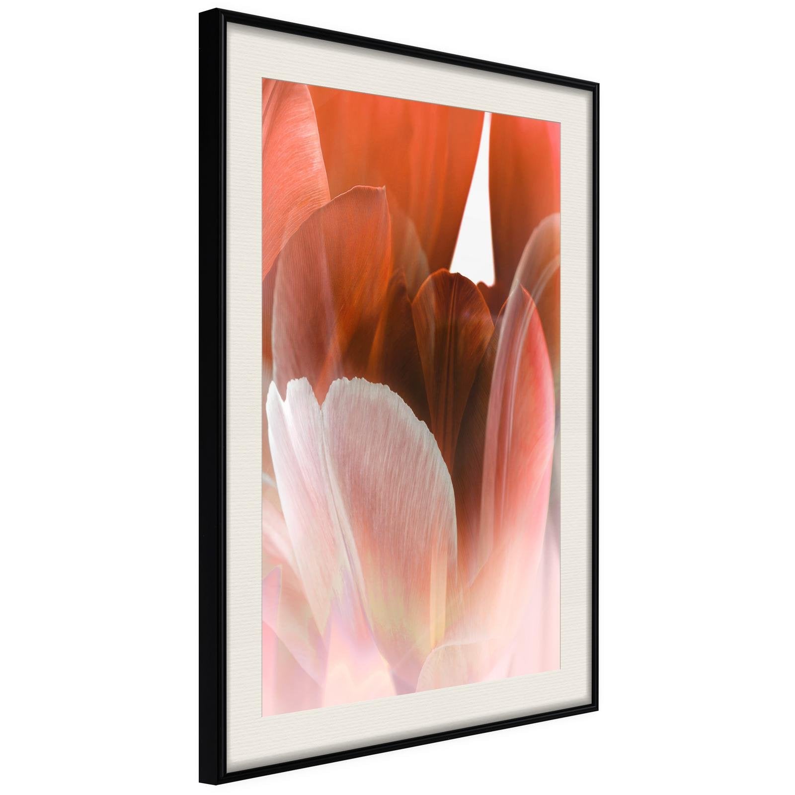 Läs mer om Inramad Poster / Tavla - Tulip Petals - 30x45 Svart ram med passepartout