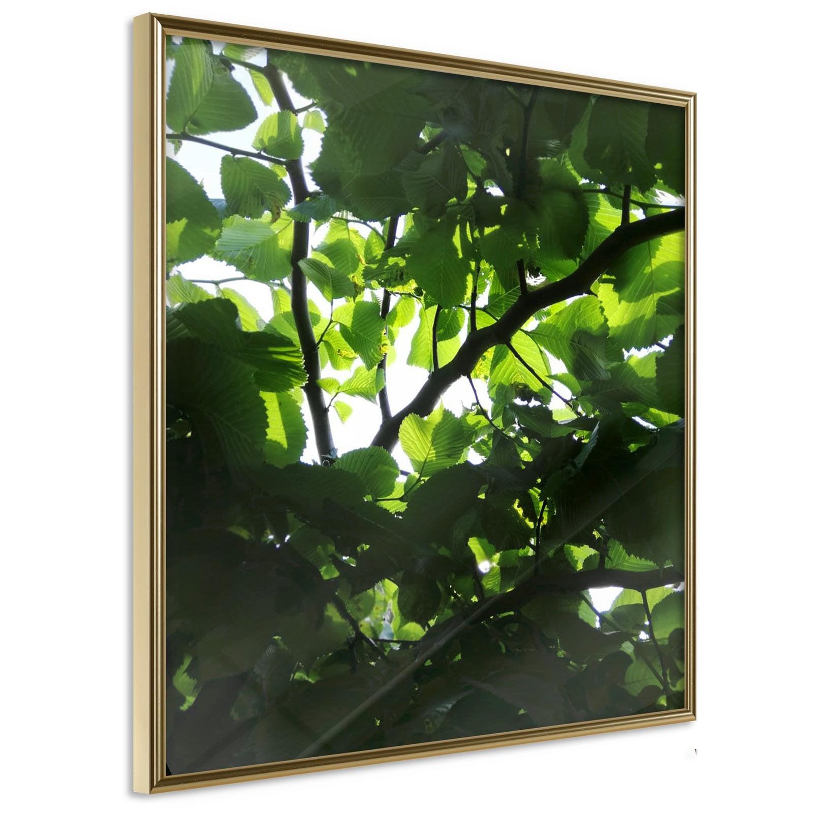 Läs mer om Inramad Poster / Tavla - Under Cover of Leaves - 30x30 Guldram