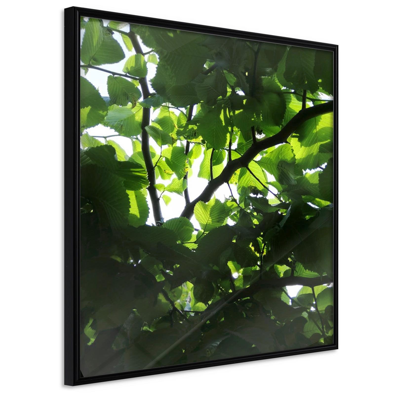 Läs mer om Inramad Poster / Tavla - Under Cover of Leaves - 50x50 Svart ram