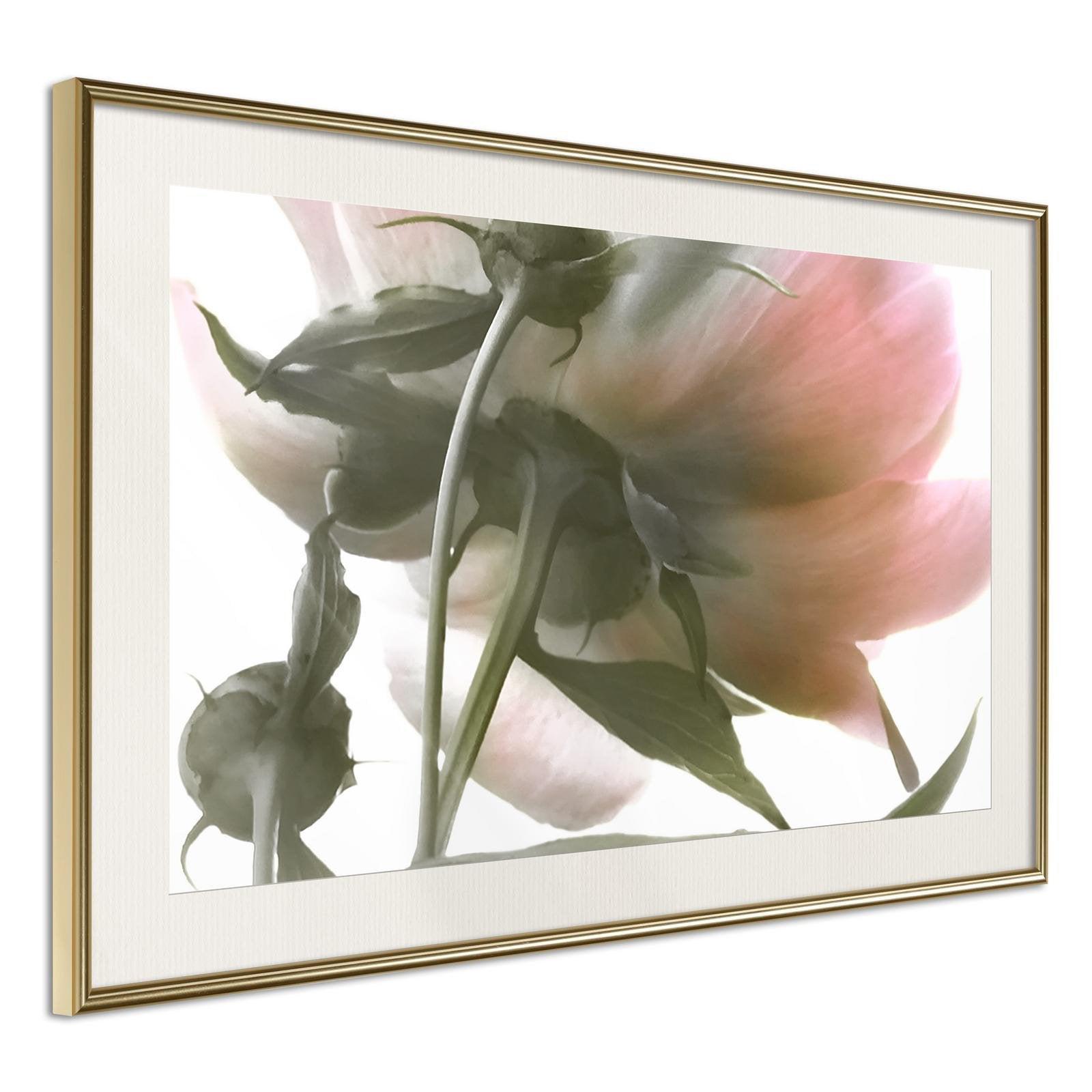 Inramad Poster / Tavla - Under the Flower - 30x20 Svart ram