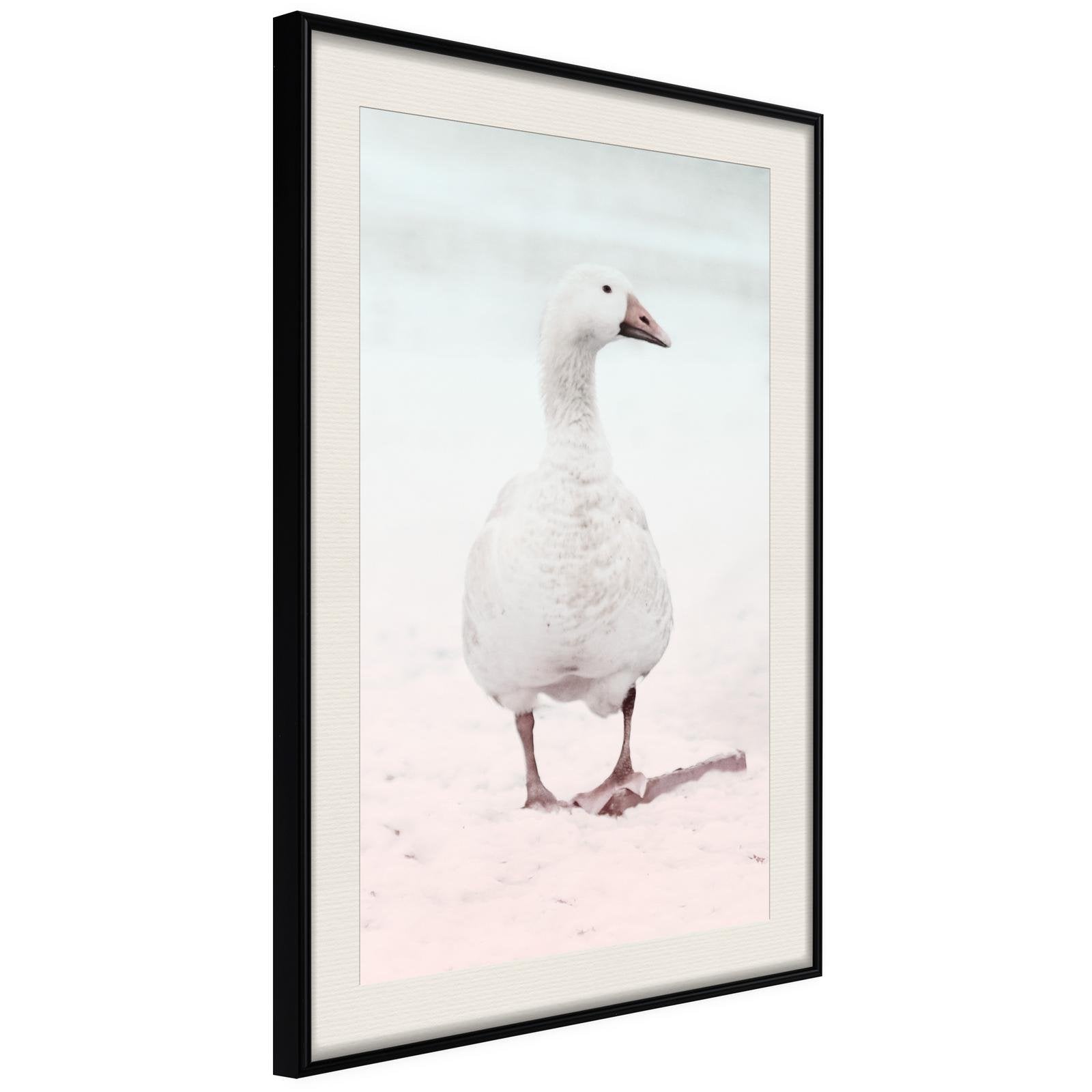 Läs mer om Inramad Poster / Tavla - Walking Goose - 20x30 Svart ram med passepartout
