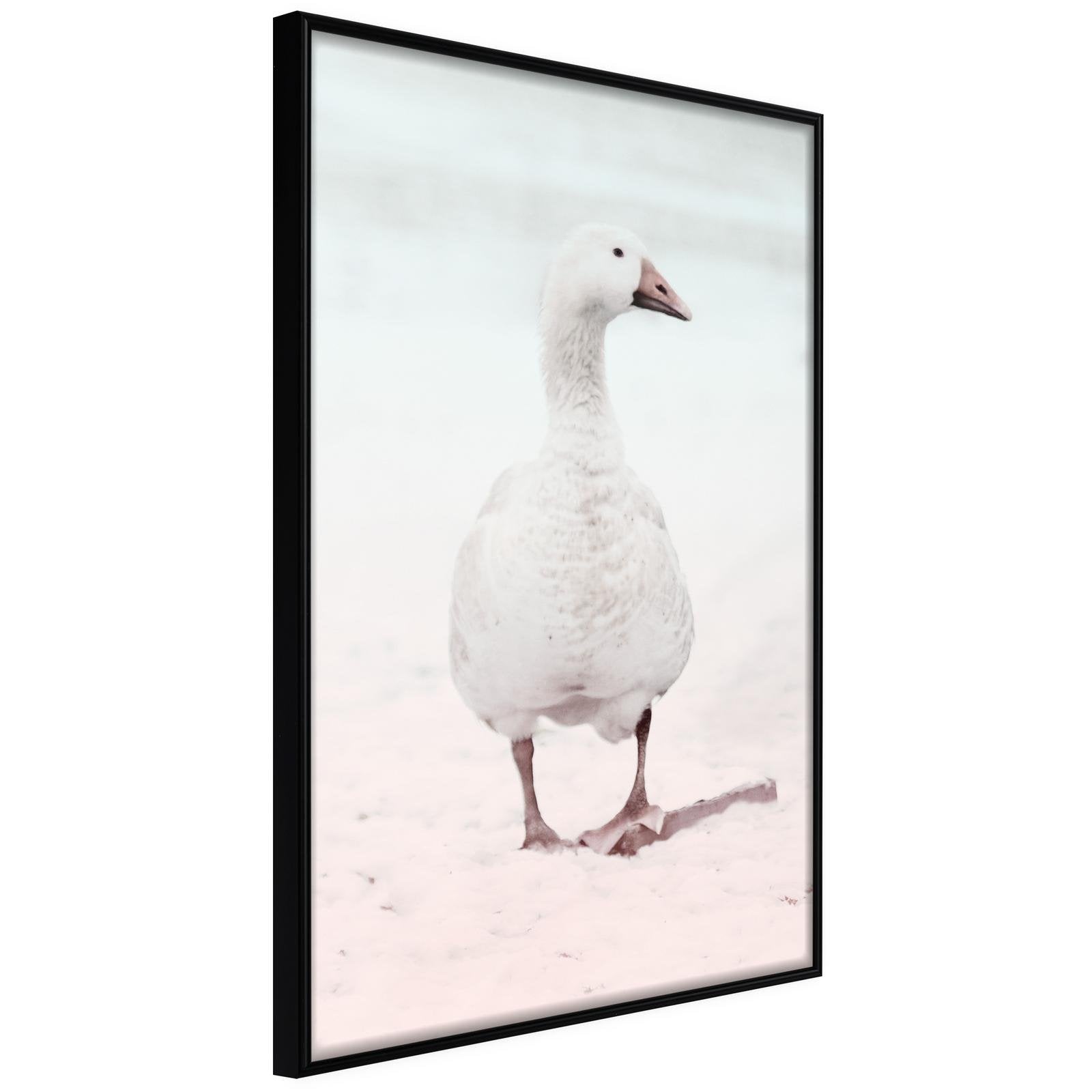 Läs mer om Inramad Poster / Tavla - Walking Goose - 20x30 Svart ram