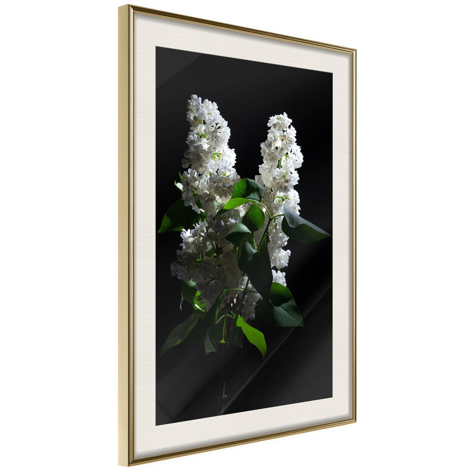 Läs mer om Inramad Poster / Tavla - White Lilac - 20x30 Guldram med passepartout
