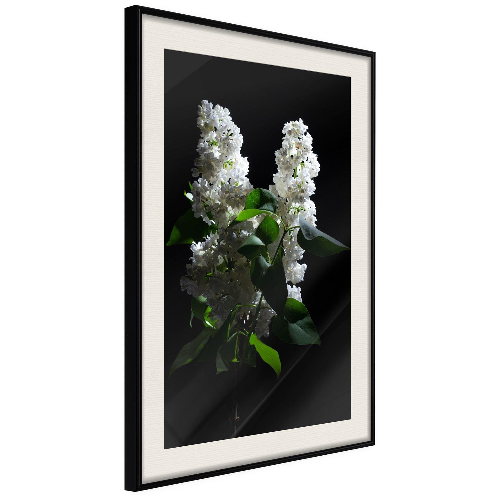 Läs mer om Inramad Poster / Tavla - White Lilac - 40x60 Svart ram med passepartout