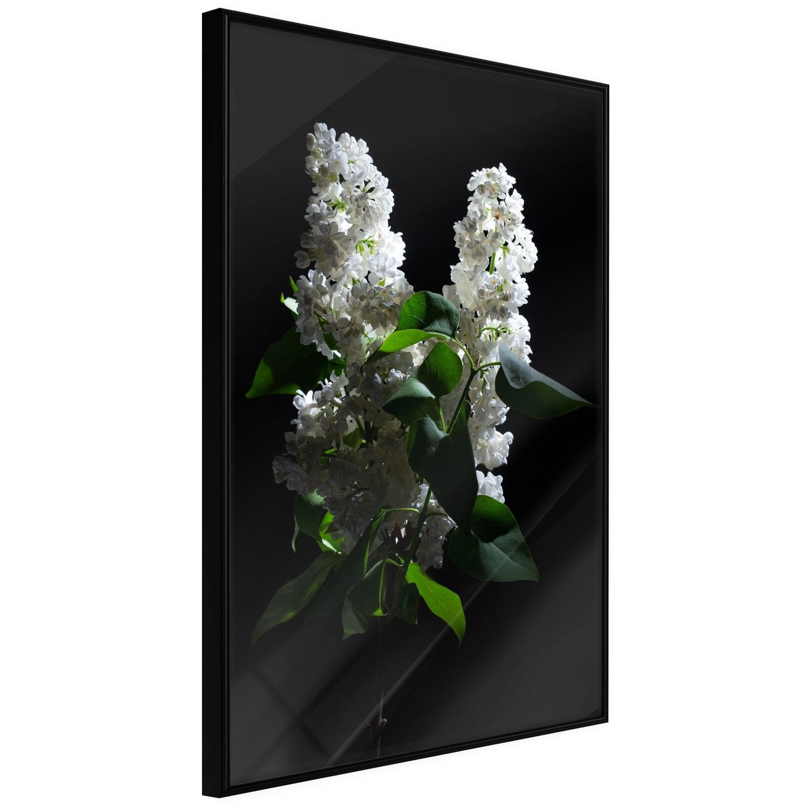Läs mer om Inramad Poster / Tavla - White Lilac - 20x30 Svart ram