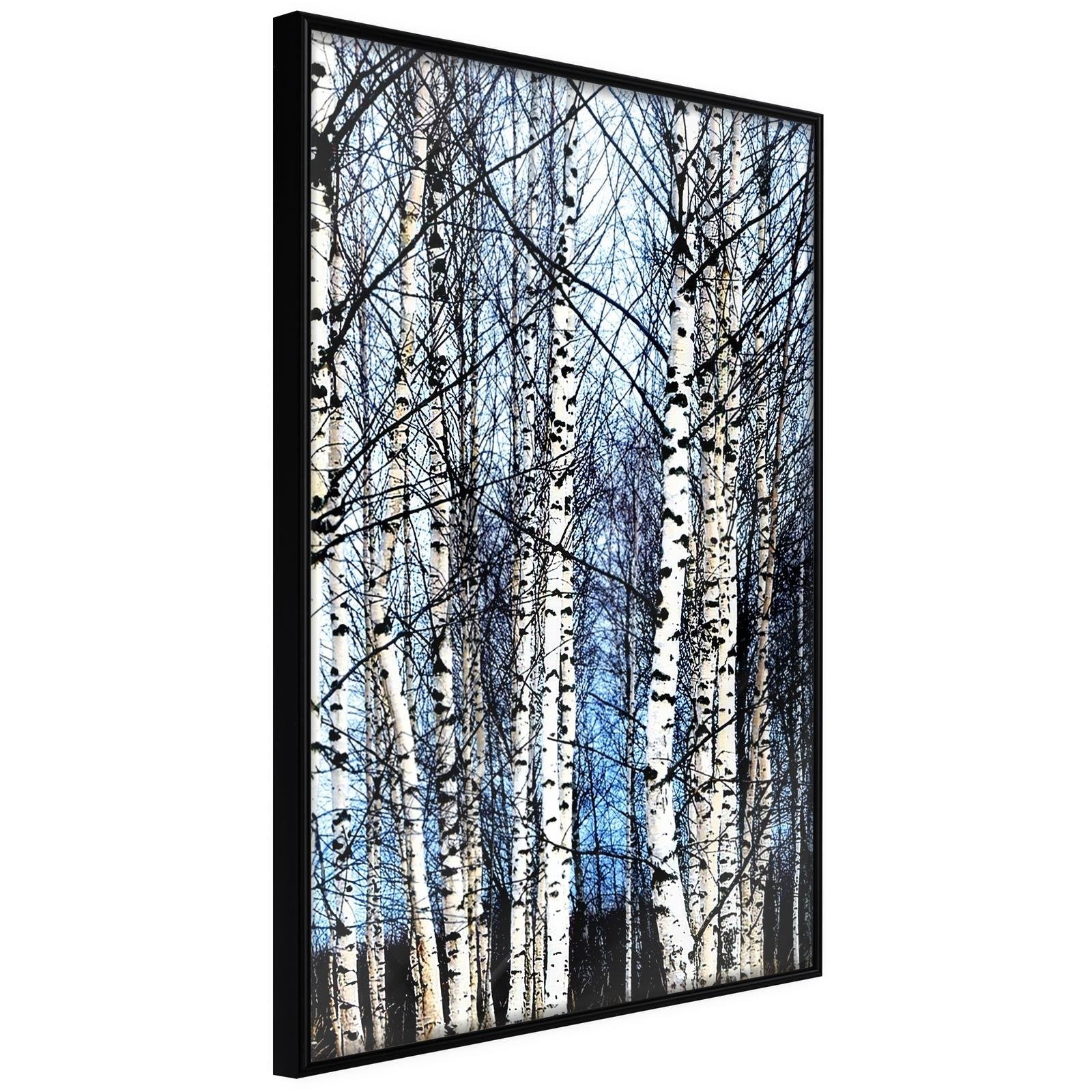 Läs mer om Inramad Poster / Tavla - Winter Birch Trees - 20x30 Svart ram