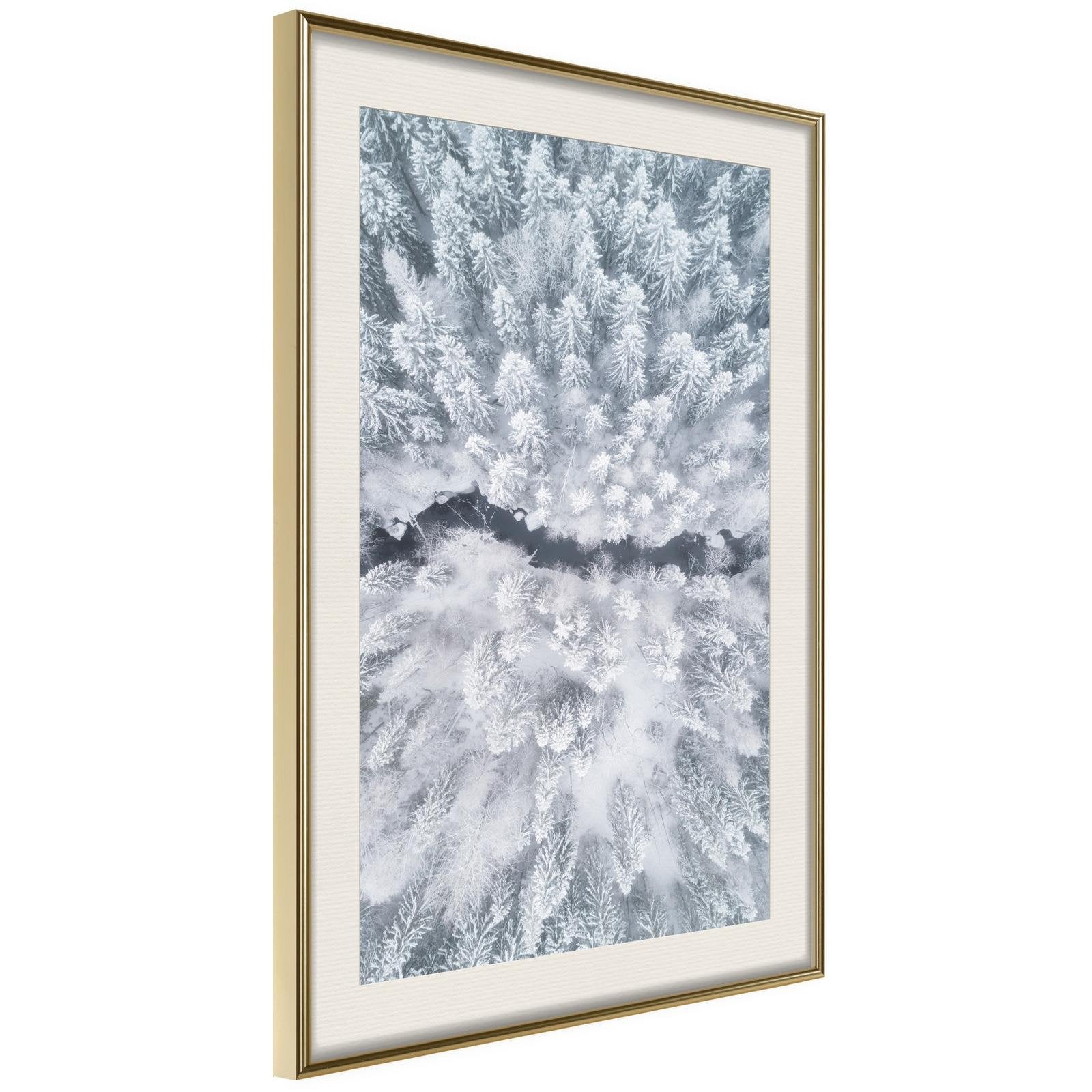 Läs mer om Inramad Poster / Tavla - Winter Forest From a Birds Eye View - 30x45 Guldram med passepartout
