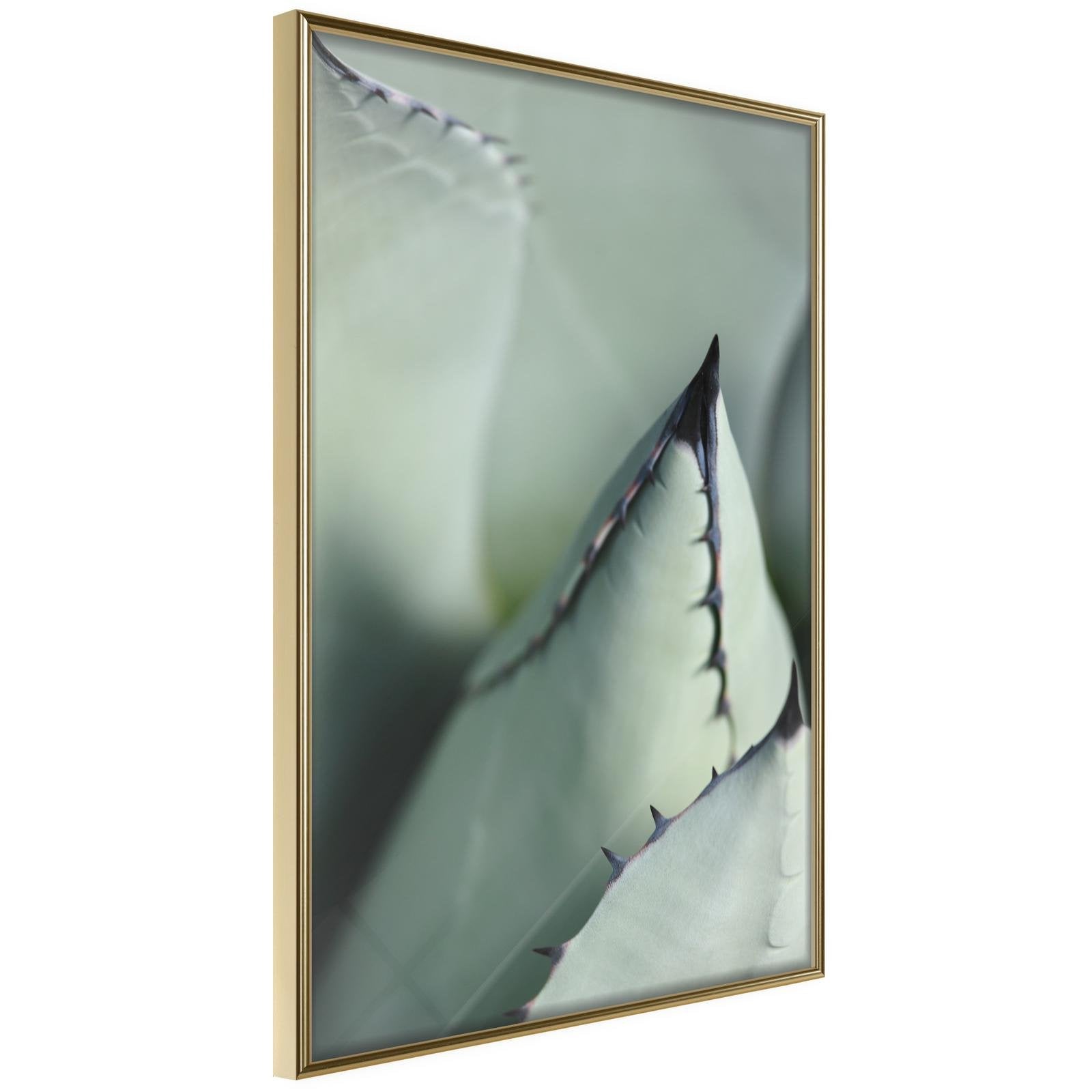 Inramad Poster / Tavla - Young Leaf of Agave - 40x60 Guldram