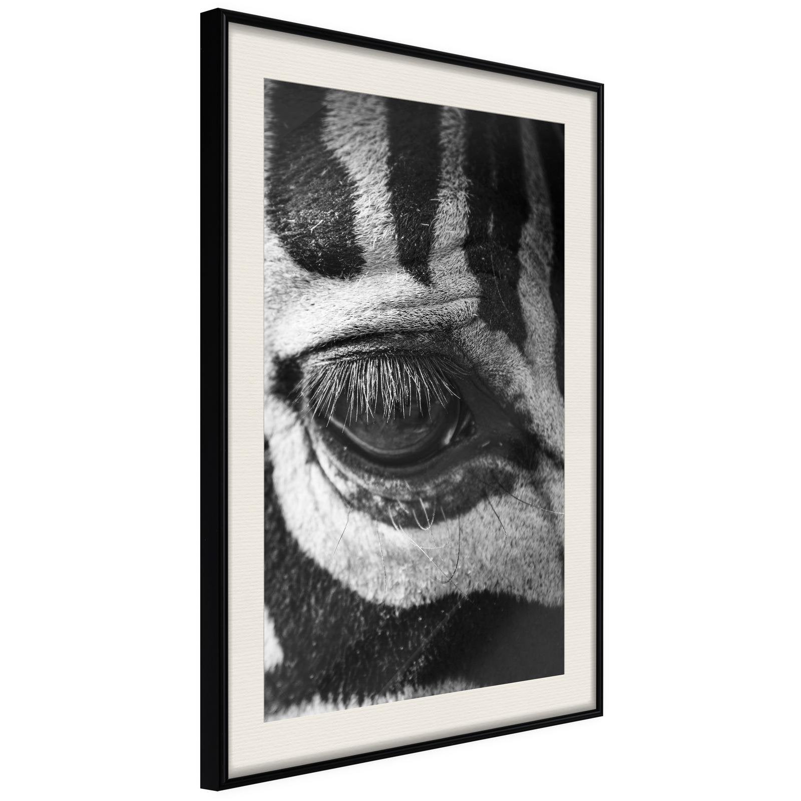 Läs mer om Inramad Poster / Tavla - Zebra Is Watching You - 40x60 Svart ram med passepartout