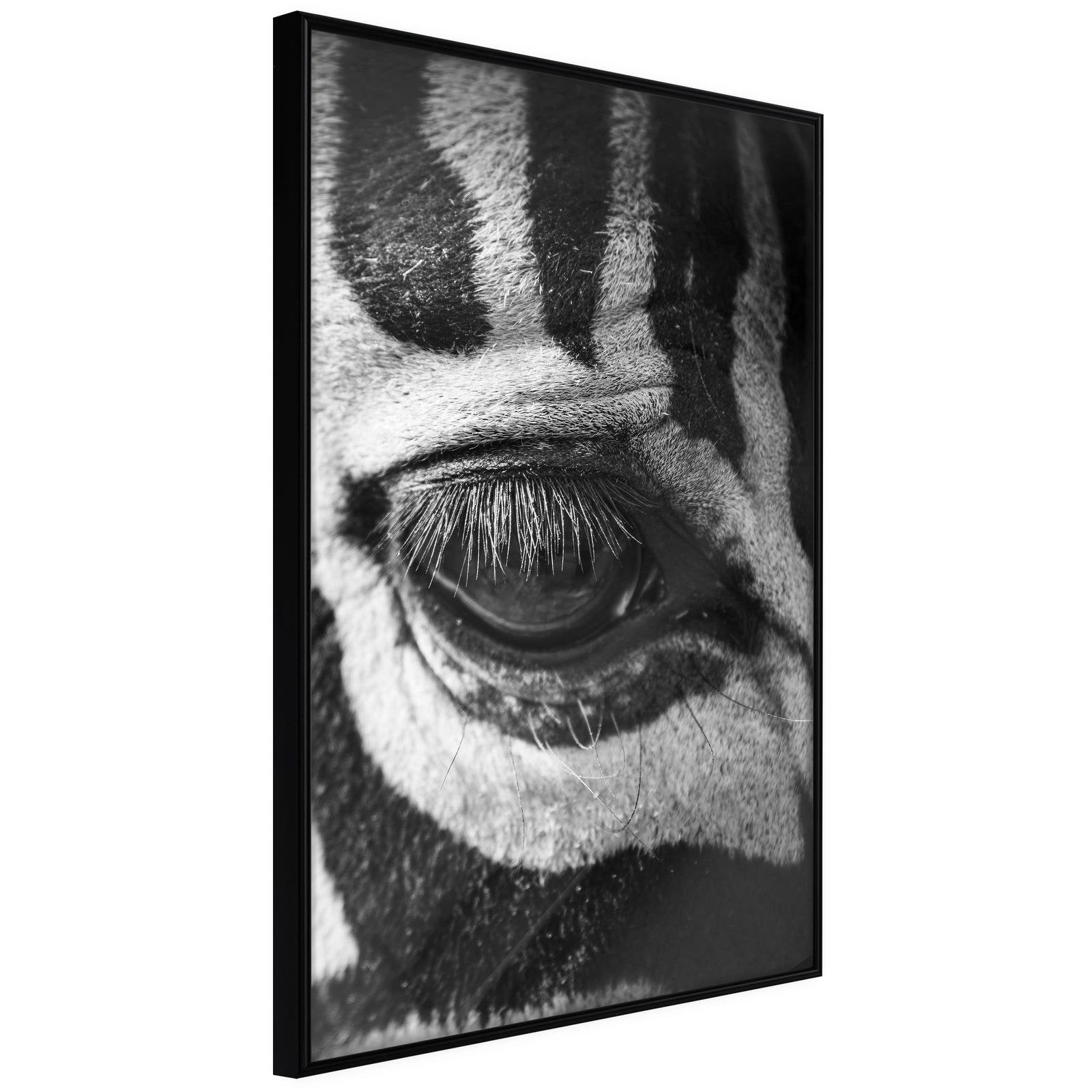 Läs mer om Inramad Poster / Tavla - Zebra Is Watching You - 30x45 Svart ram
