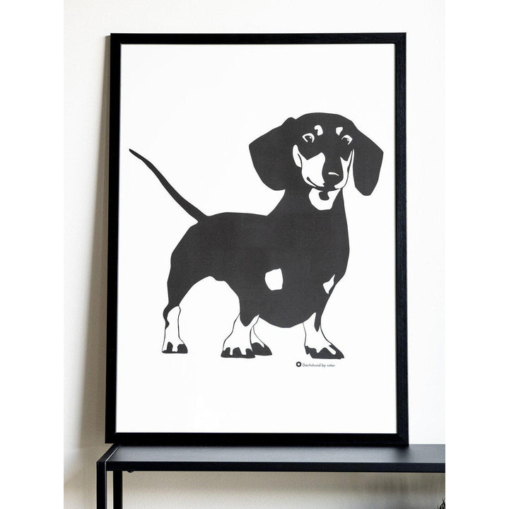 Poster Åke The Dachshund – 50×70 cm