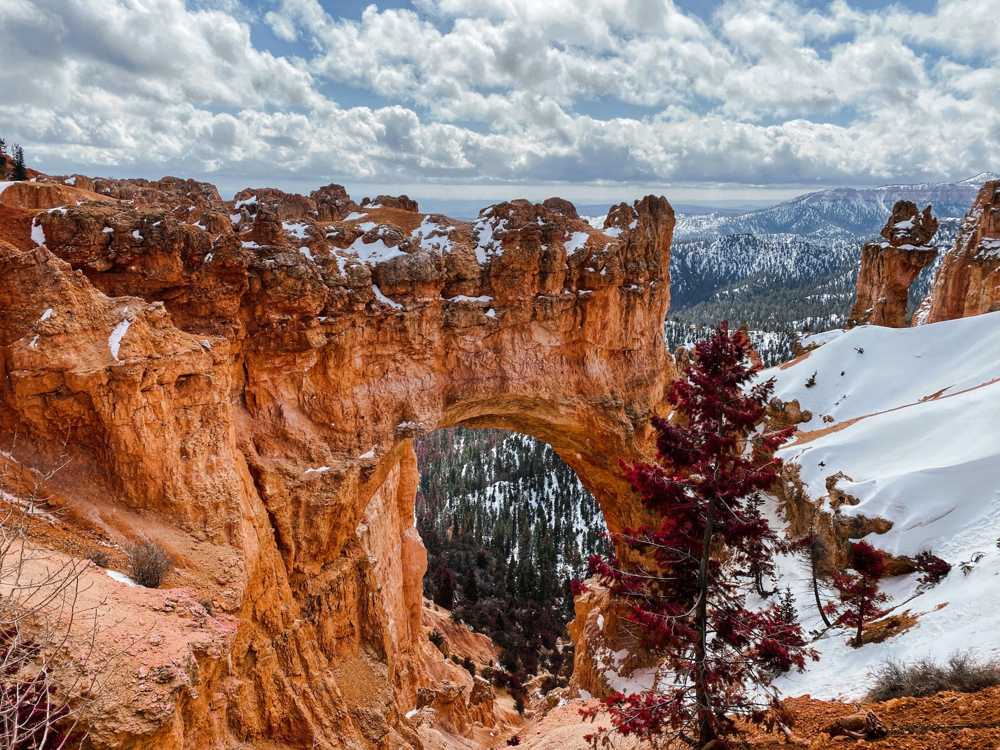 16 Bryce Canyon National Park.jpg__PID:4aba1b65-36d8-401d-90f5-ca6743523114