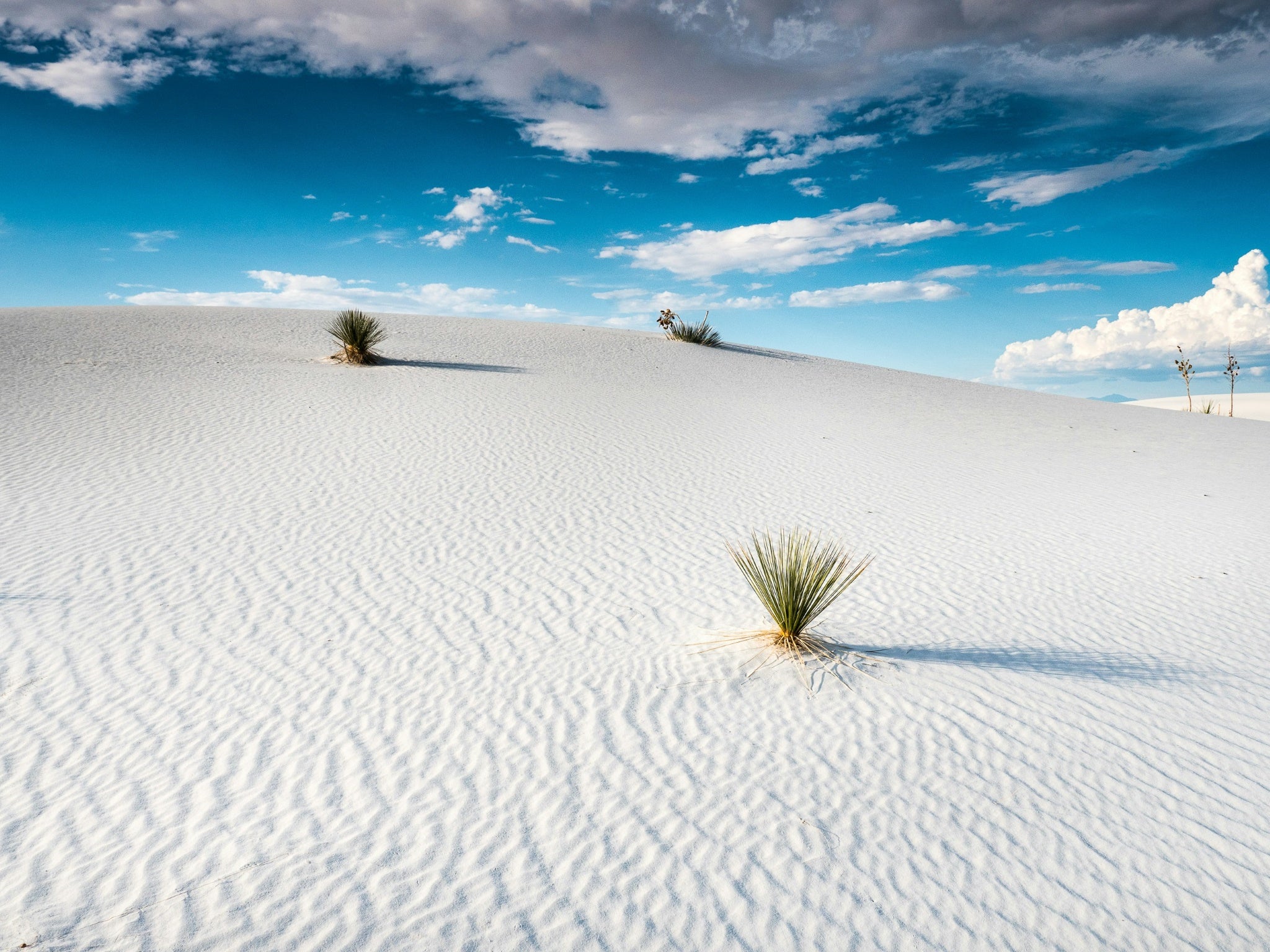 24. White Sands National Park.jpg__PID:a9b9d5a4-e749-492c-a305-88ac470bc338