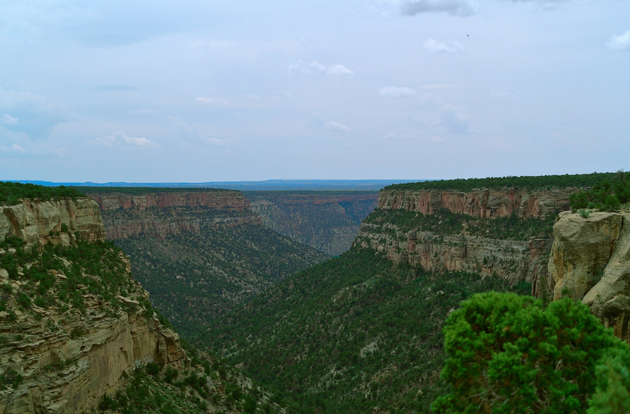 31.01 Mesa Verde National Park.jpg__PID:fcc37bd0-46e3-4ff5-930d-f3df358fbf08