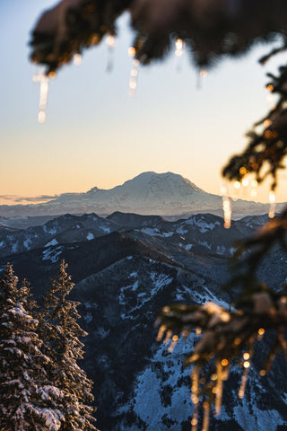 Mt. Rainier through the trees