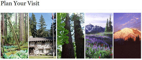 Plan your visit to Mt. Rainier National Park