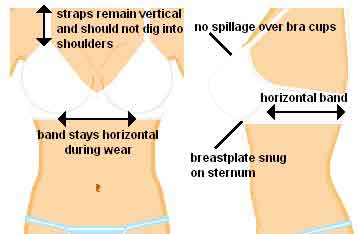 After Breast Augmentation: Should I Wear a Bra During Sleep - Dallas, TX