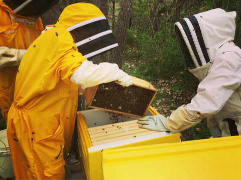 honeybee package installation 