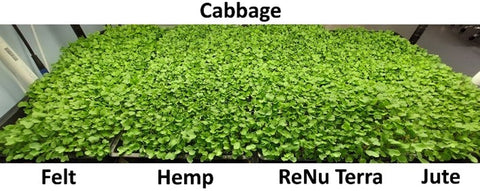 Microgreen mats indoor growing grow media