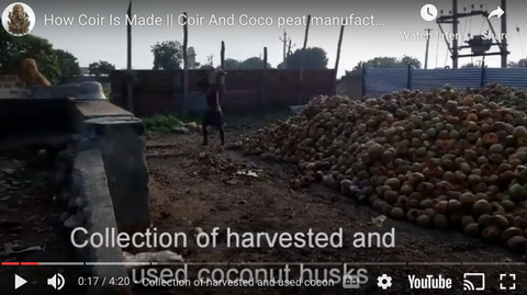 How coco coir is extracted