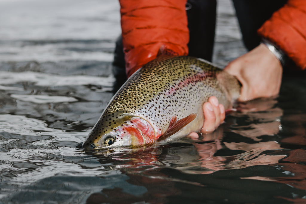 Winter Fly Fishing on the Kenai Penisula - Ashland Fly Shop