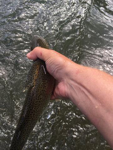 Trout Tag