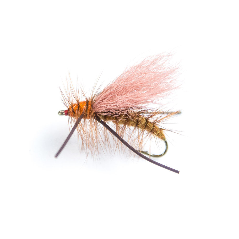 Ashland Fly Shop | Chubby Norman