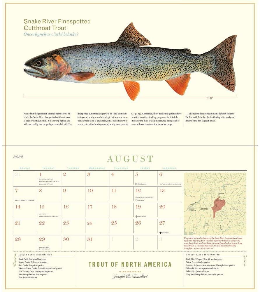 trout-of-north-america-wall-calendar-2023-ashland-fly-shop