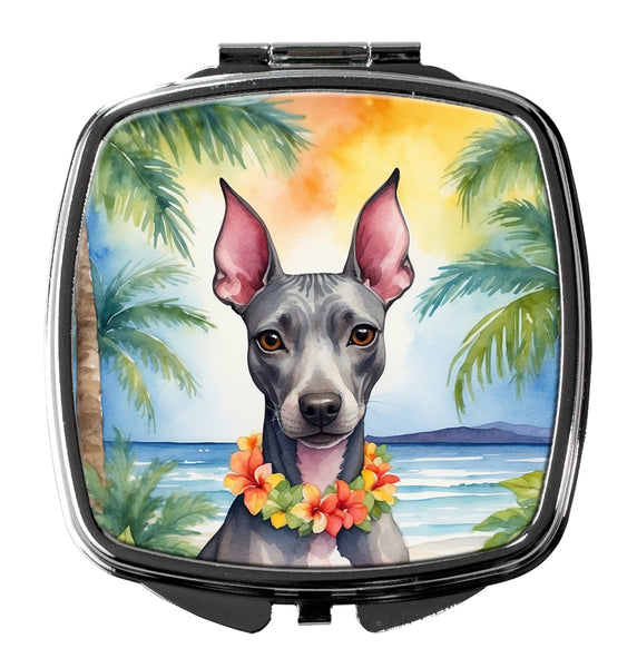 Buy this American Hairless Terrier Luau Compact Mirror
