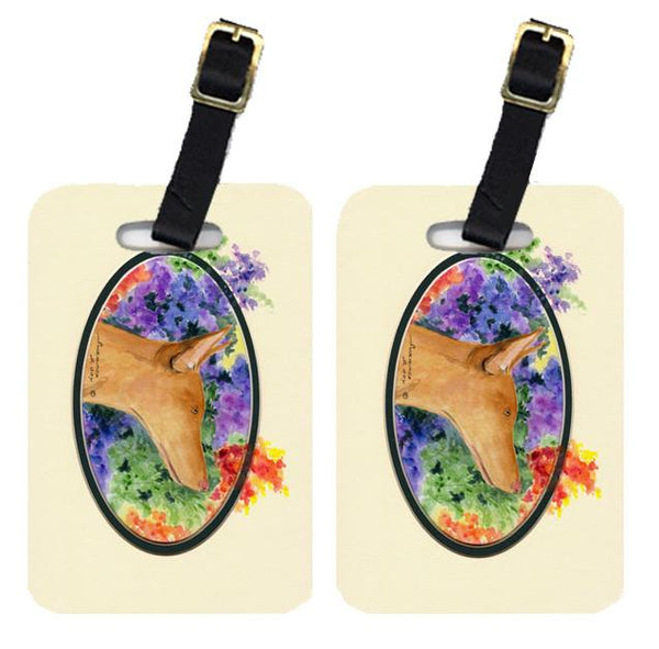 Pair of 2 Pharaoh Hound Luggage Tags by Caroline's Treasures