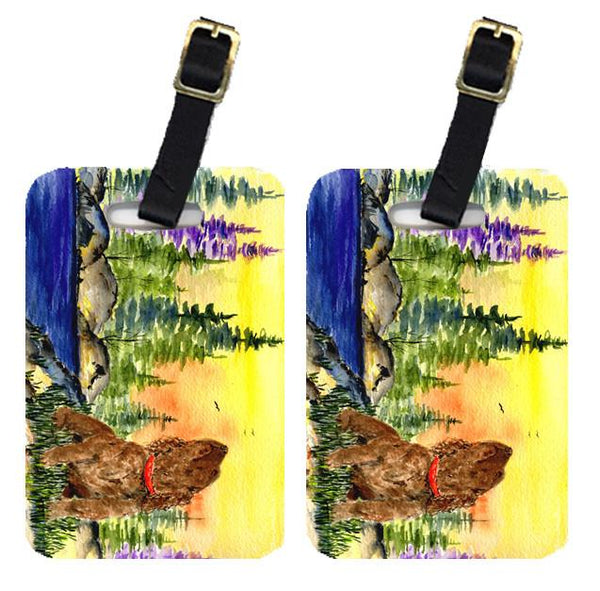 Pair of 2 American Water Spaniel Luggage Tags by Caroline's Treasures