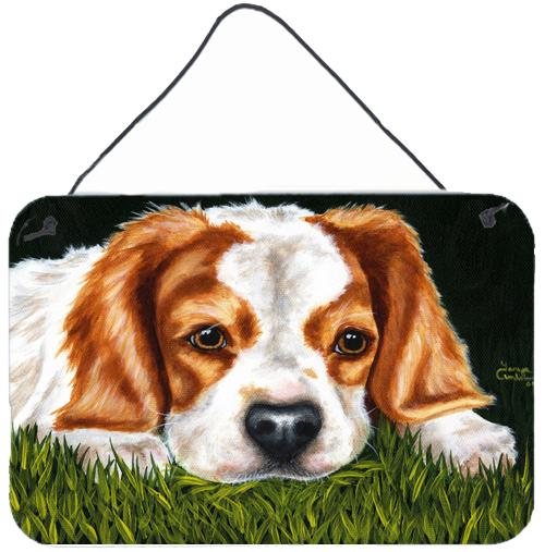 Cavalier Spaniel in the Grass Wall or Door Hanging Prints by Caroline's Treasures