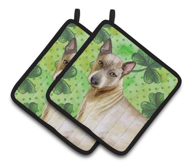 Thai Ridgeback St Patrick's Pair of Pot Holders BB9854PTHD by Caroline's Treasures