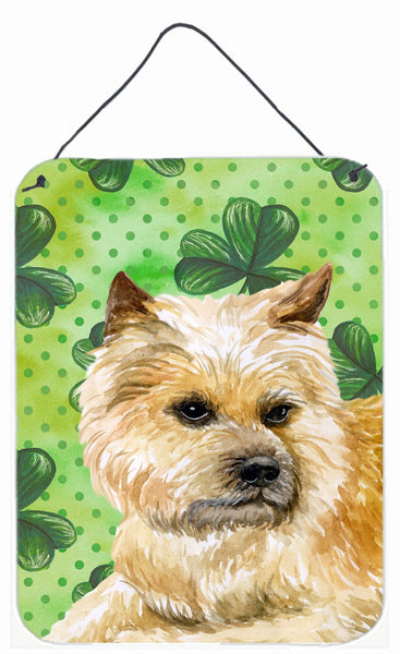 Cairn Terrier St Patrick's Wall or Door Hanging Prints BB9864DS1216 by Caroline's Treasures