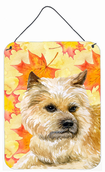 Cairn Terrier Fall Wall or Door Hanging Prints BB9951DS1216 by Caroline's Treasures