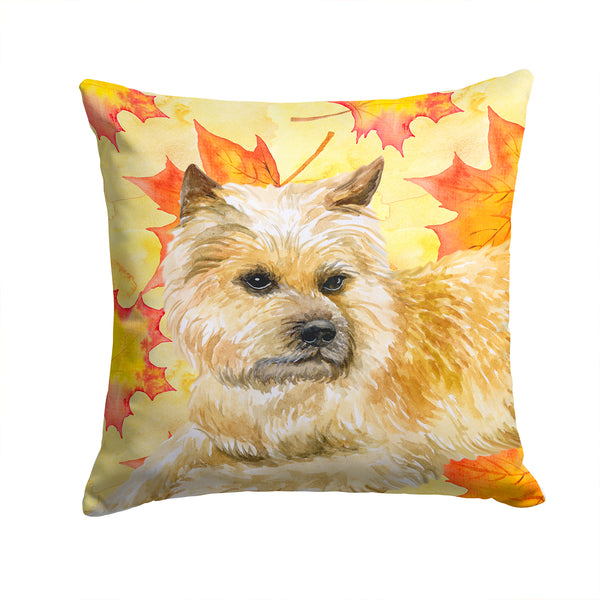 Cairn Terrier Fall Fabric Decorative Pillow BB9951PW1414 - the-store.com