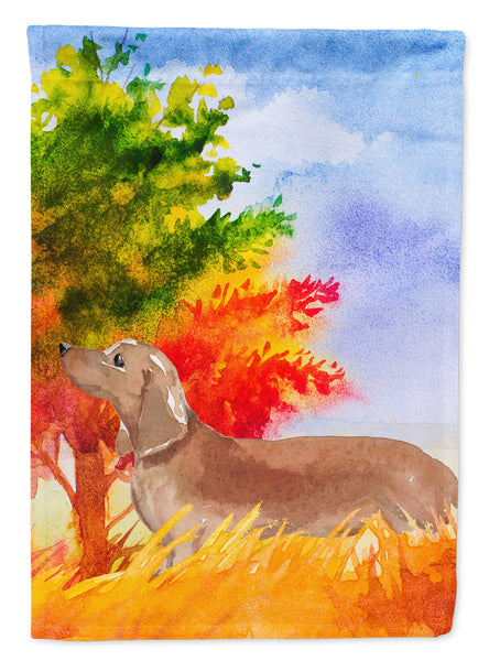 Fall Red Dachshund Flag Garden Size CK1932GF  the-store.com.