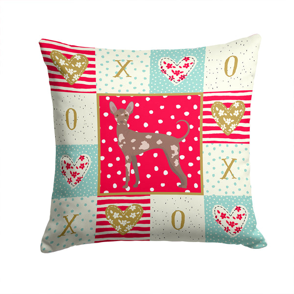 Mexican Hairless Dog #2 Love Fabric Decorative Pillow CK5865PW1414 - the-store.com