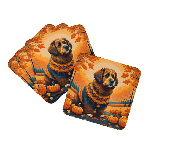 Buy this Briard Fall Foam Coaster Set of 4