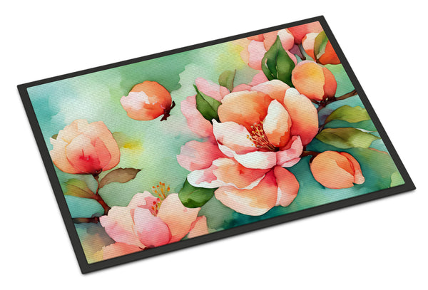 Buy this Delaware Peach Blossom in Watercolor Doormat 18x27