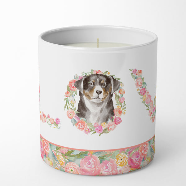 Buy this Appenzeller Sennenhund Love 10 oz Decorative Soy Candle