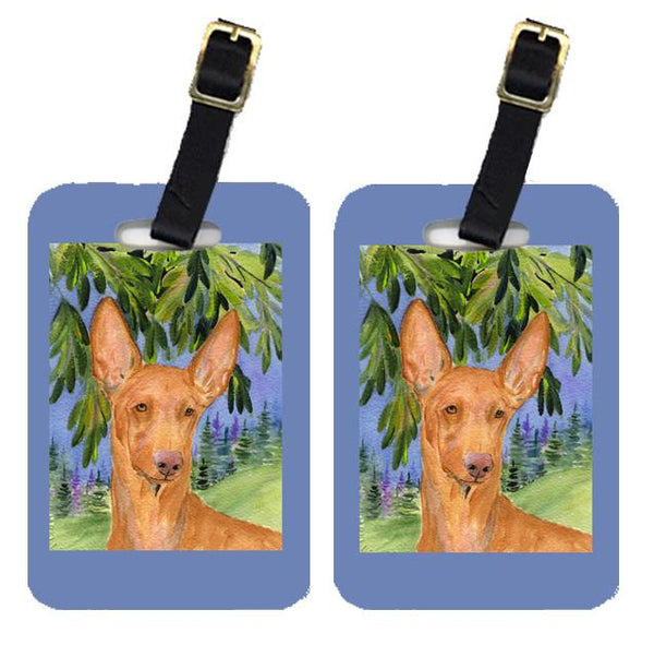 Pair of 2 Pharaoh Hound Luggage Tags by Caroline's Treasures