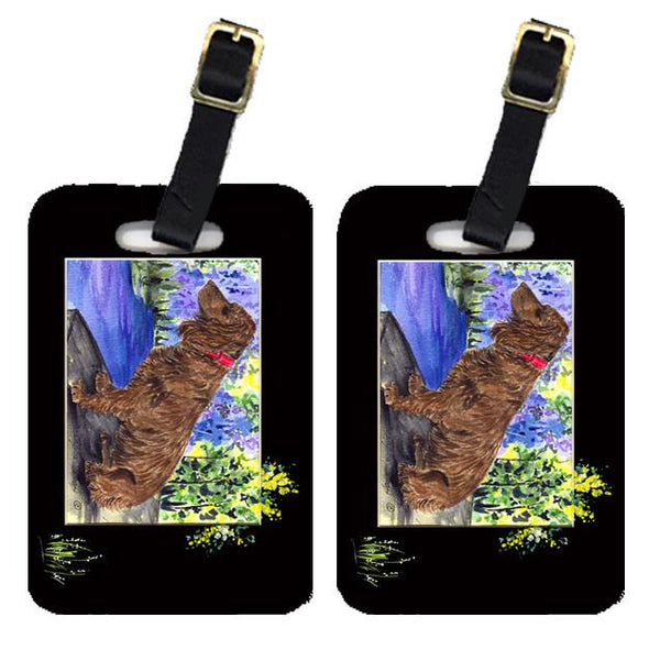 Pair of 2 Boykin Spaniel Luggage Tags by Caroline's Treasures