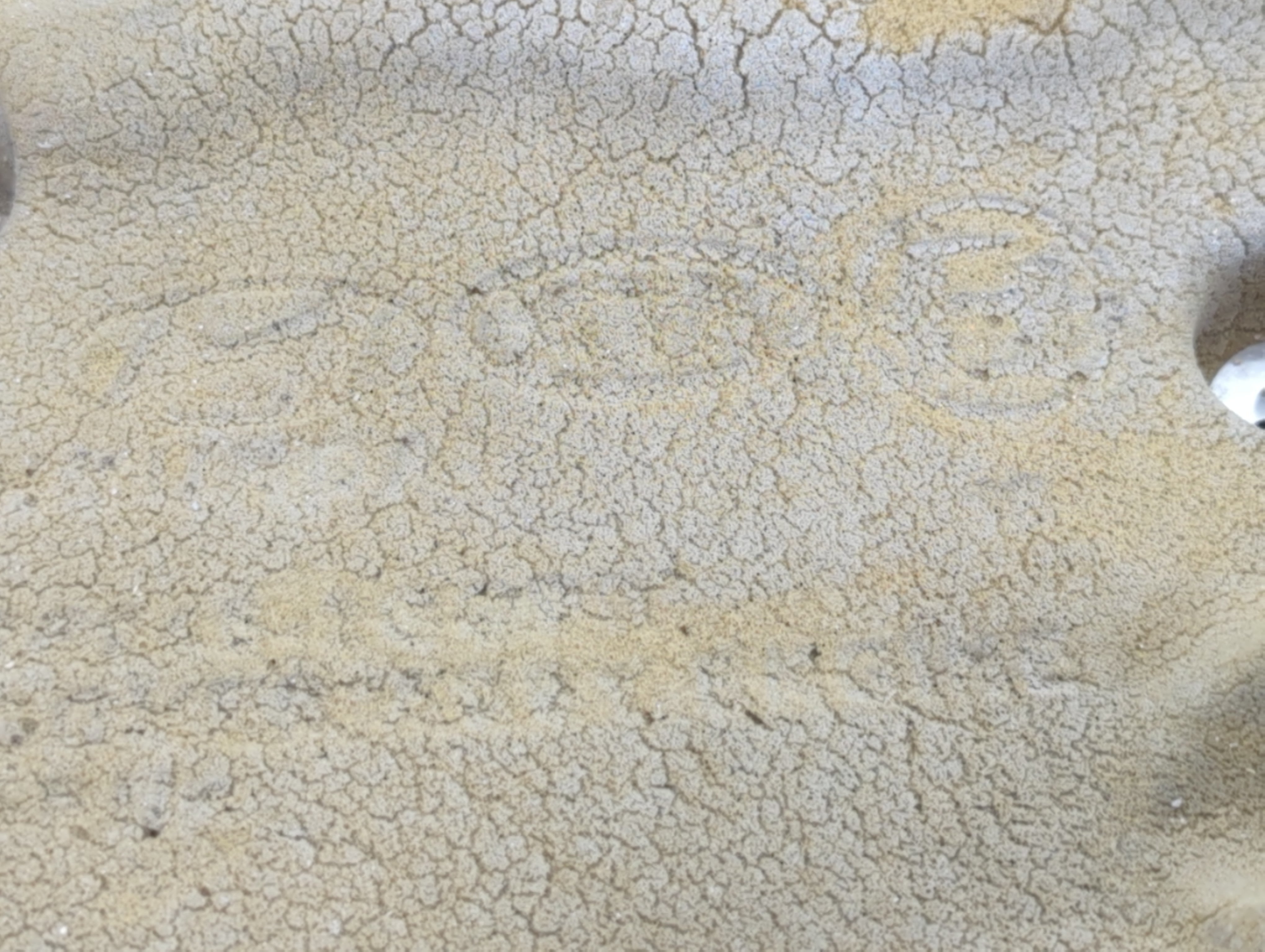 2020 Kia Optima Engine Cover - Oemusedautoparts1.com